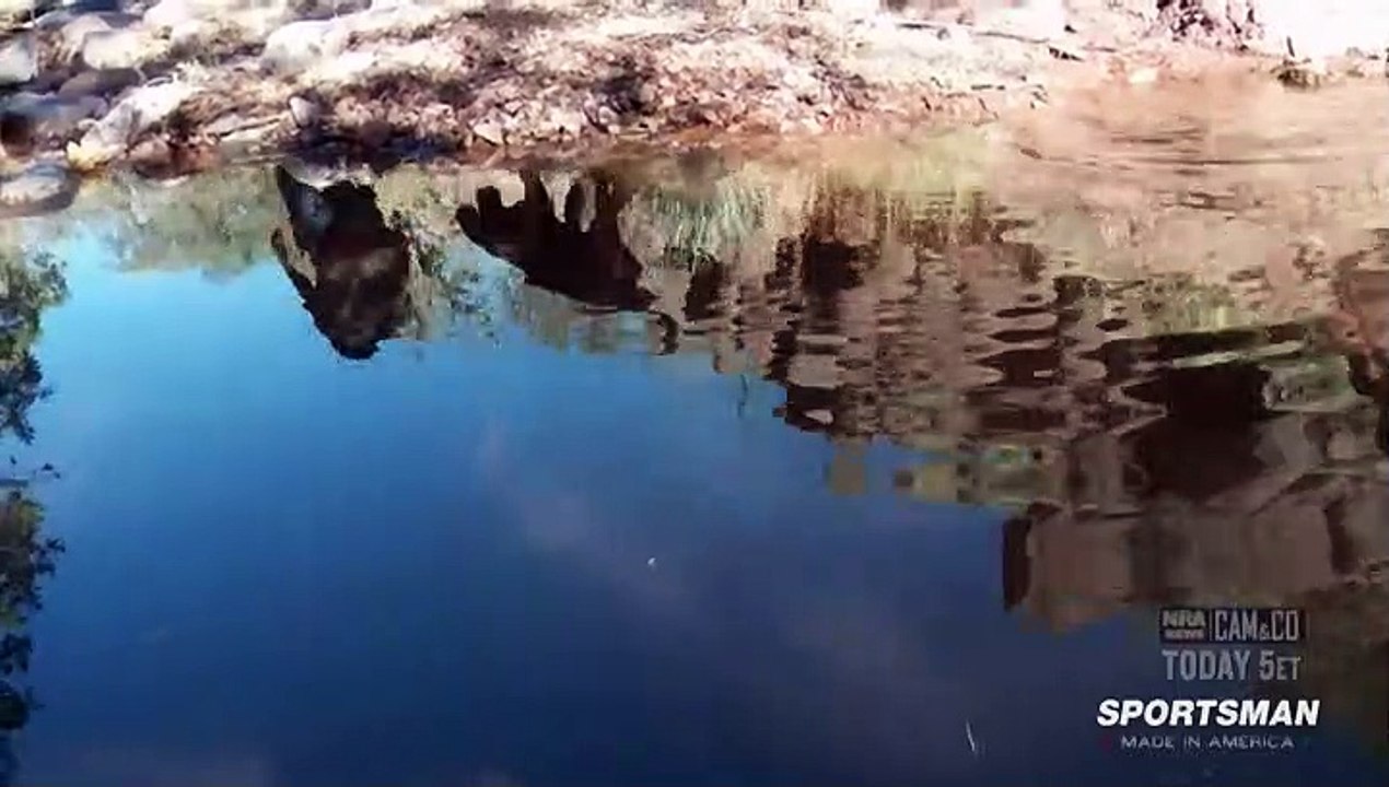 MeatEater.S02E02.The.Fair.Chase-Arizona.Mountain.Lion.HDTV.x264