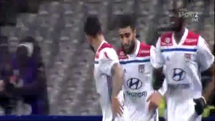 Toulouse vs Lyon 2-2 All Goals & Highlights 16/01/2019