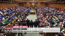 British PM May survives no confidence vote
