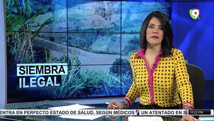 COLOR VISIÓN LIVE (973)