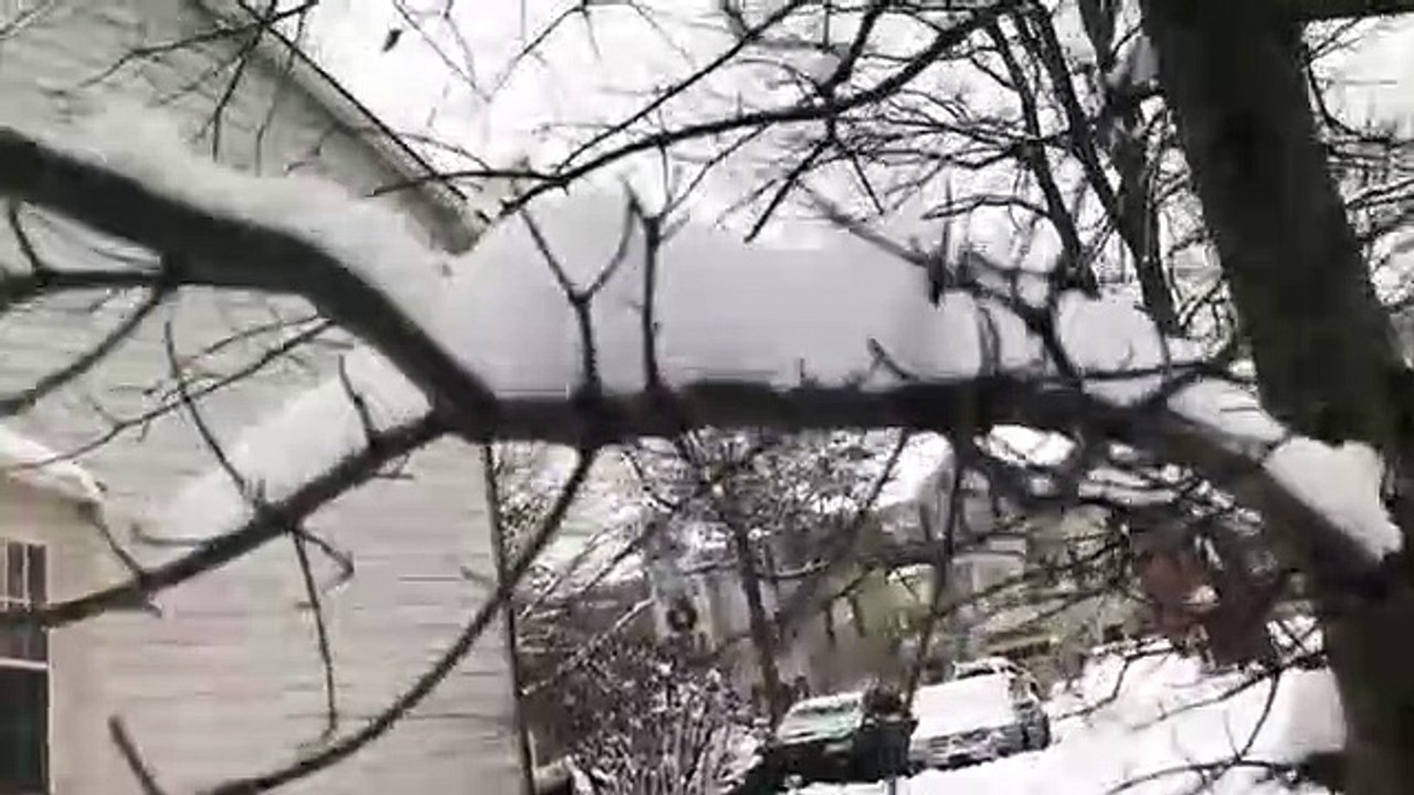 Walking In The Snow