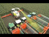 Modern Technology Agriculture Huge Machines
