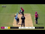 Alyssa Healy innings highlights vs Strikers
