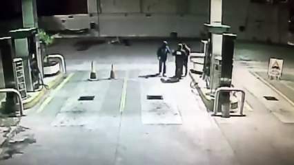 Chú chó cứu ân nhân