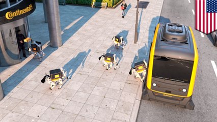 ロボット犬があなたの家まで荷物を届ける時代がやってくる⁉ - トモニュース