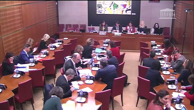 Commission des affaires culturelles : Mme Michèle Léridon, pressentie pour siéger au sein du collège du Conseil supérieur de l'audiovisuel - Mercredi 16 janvier 2019