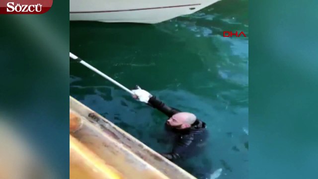 Yavru kediyi kurtarmak için buz gibi denize atladı