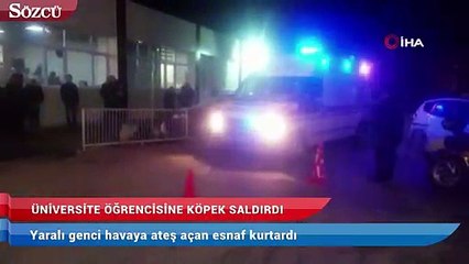 Üniversite öğrencisi köpek saldırısıyla yaralandı