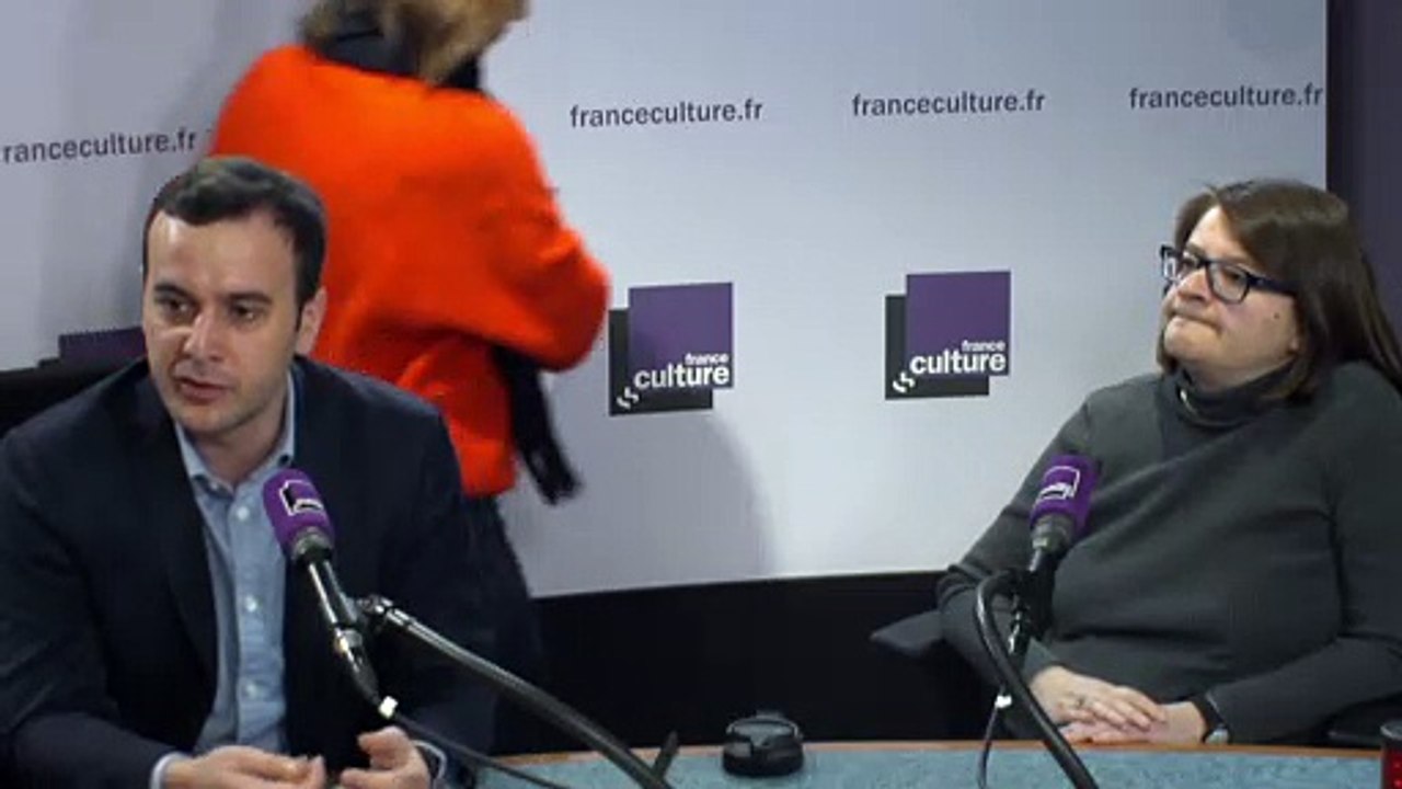 Vivien Pertusot : "Pour le moment, on n'a pas vu de convergence de partis politiques au niveau européen"