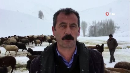 Zorlu kış şartlarında hayvancılık ile geçim sağlıyorlar