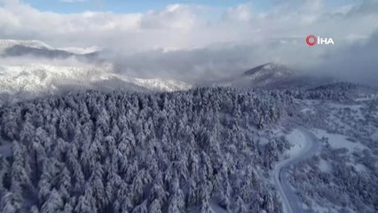 Karlar Altında Kalan Başkent'te Yaban Hayvanları İçin Doğaya Yem Bırakıldı