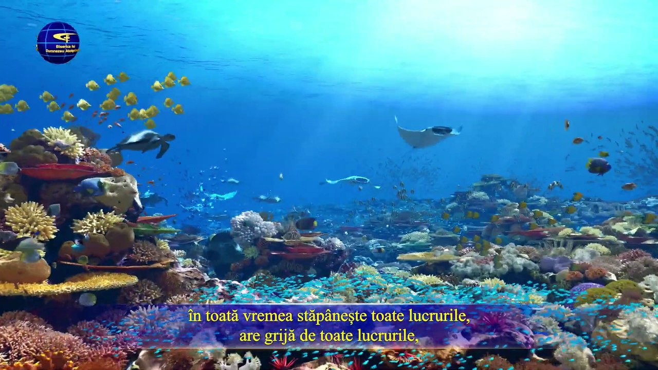 Cuvântul lui Dumnezeu „Dumnezeu Însuși, Unicul (III) Autoritatea lui Dumnezeu (II)” Partea a șaptea