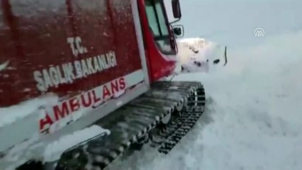 Ekipler hasta kadın için seferber oldu - BİNGÖL