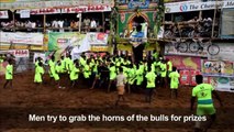 Indian bullfighters participate in Jallikattu festival