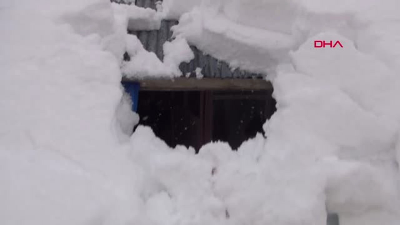 Bingöl Kar Kalınlığı 2 Metreyi Aştı, Evler Beya...