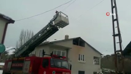 Elektrik direğinde mahsur kalan kedi 3 gün kurtarılmayı bekledi