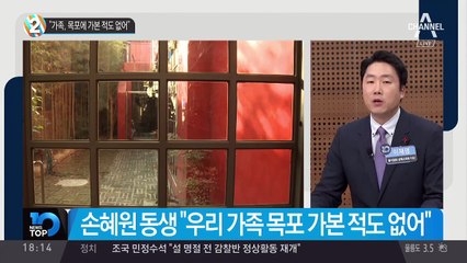 손혜원 동생 “가족, 목포에 가본 적도 없어”