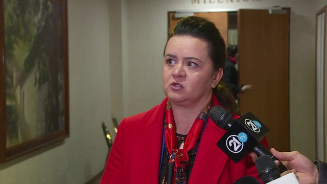 Remenski: Kërkesa e opozitës për zgjedhje të parakohshme do të shqyrtohet në organet e partisë