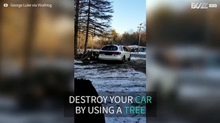 Man uses tree to destroy his car