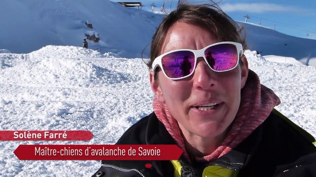 SAVOIE Entraînement en conditions réelles pour les maîtres-chiens d’avalanche