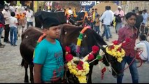 Cattle and their owners run through flames in south India for Hindu ritual