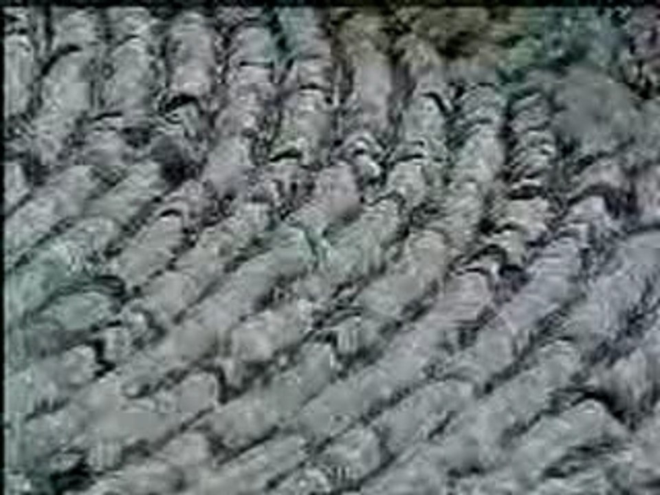 Kabe İmamlarından Yasin i Şerif