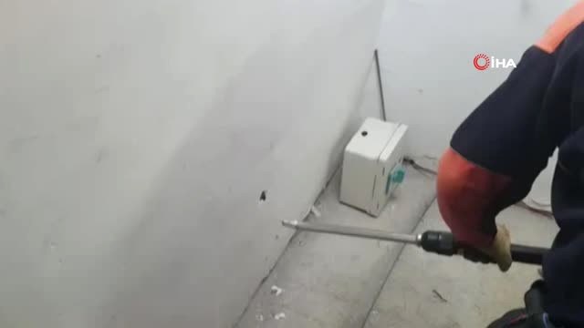 4 Gündür Asansör Boşluğunda Mahsur Kalan Kediyi Afad Kurtardı