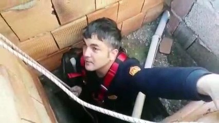 Binanın havalandırma boşluğuna düşen tavuğu itfaiye kurtardı - HATAY
