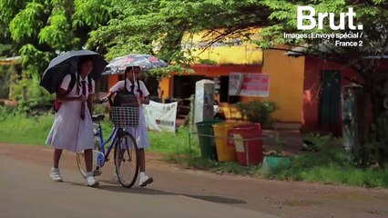 Sri Lanka : un pays sans glyphosate ?