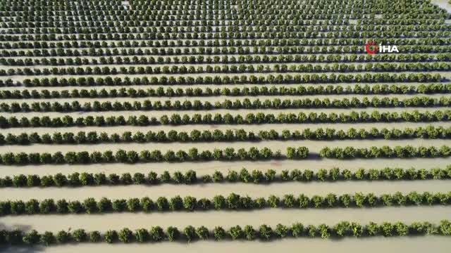 Sular Altında Kalan Binlerce Dönüm Tarım Arazisi Havadan Görüntülendi