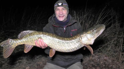 Pike & Zander Session - Big Pike - Warwickshire Avon - 15/1/19 (Video 101)