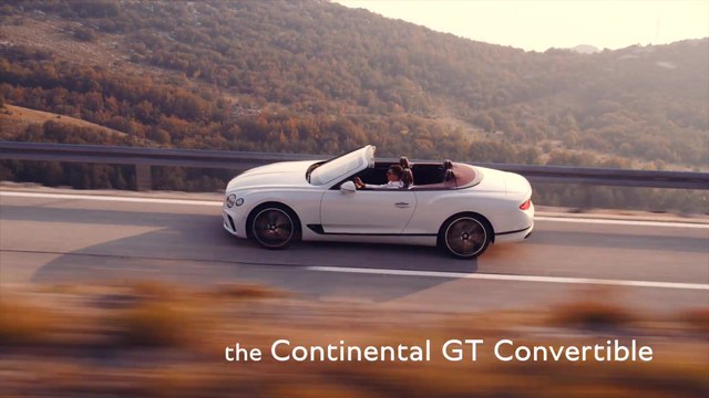 Bentley Continental GT Convertible Expert Insight Marine Godot - Materials