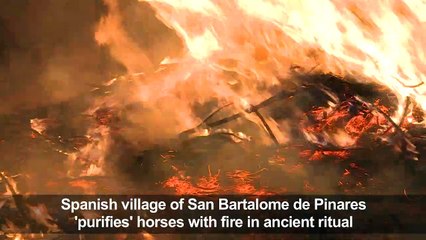 Spanish village purifies horses with fire in age-old ritual