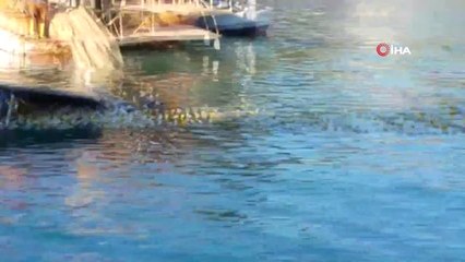 Mersin'de Şiddetli Fırtınadan Tekne Battı