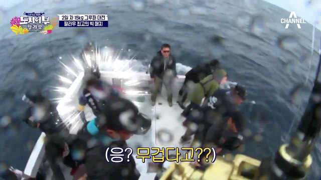 파이터 추성훈 VS 팔라우 大물! Mr. 추, 결국 말을 잃고 마는데?!