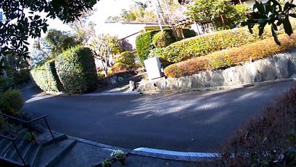EDR January #17 2019 Helicopters Flew Near My Place