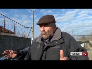 Report Tv-Bora shkatërron serat dhe prodhimet në Kosmaç të Shkodrës