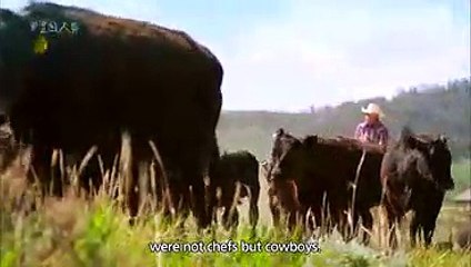 토토복권방／／ ＫＯＮ２０。ＣＯＭ ／／오락실슬롯머신게임