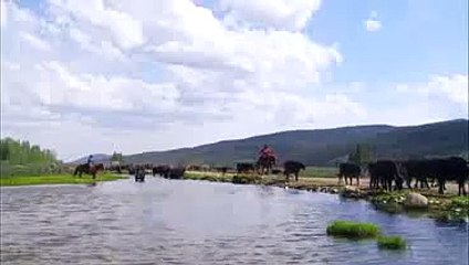 생방송토토／／ ＫＯＮ２０。ＣＯＭ ／／카지노섯다