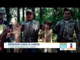 Denuncian a regidor en Michoacán por cazar lobos en peligro de extinción | Noticias con Zea