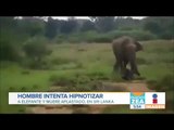 Hombre muere aplastado por elefante (Imágenes fuertes) | Noticias con Zea
