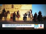 Cambian patrullas por caballos y bicicletas en Guanajuato | Noticias con Francisco Zea