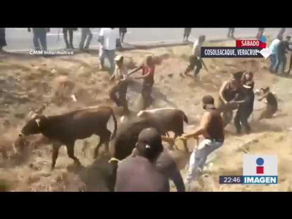 Pobladores hacen rapiña de reses de tráileres; descuartizan a las reses en la carretera