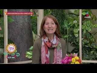 ¿Cómo hacer que tus hijos adolescentes mejoren su desempeño escolar? | Sale el Sol