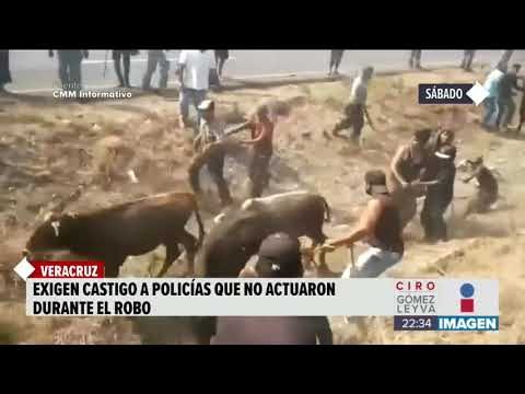 Ganaderos piden que encuentren a responsables de rapiña | Noticias con Ciro