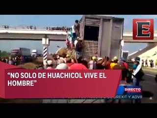 Imagen de Impacto: Rapiña en Veracruz al volcarse un camión con ganado