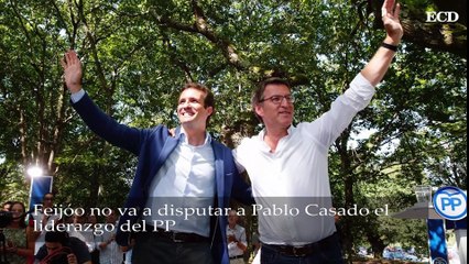 Feijóo no va a disputar a Pablo Casado el liderazgo del PP