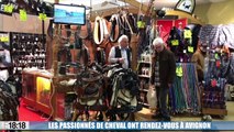 Les fans d'équitation ont rendez-vous à Avignon pour Cheval Passion
