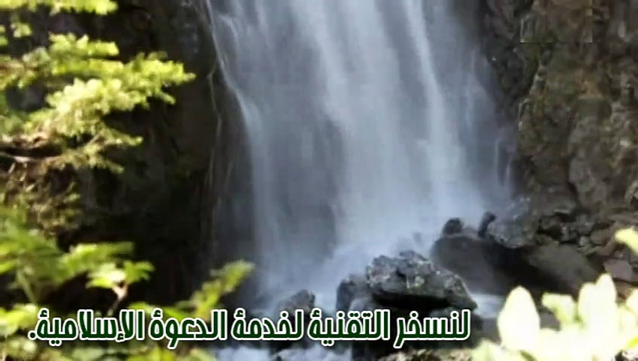 آداب الإستفتاء