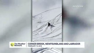 NL snowmobiler creates mini-avalanche on local hill